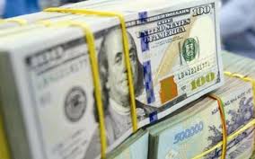 Dollar/đồng exchange rate cools down